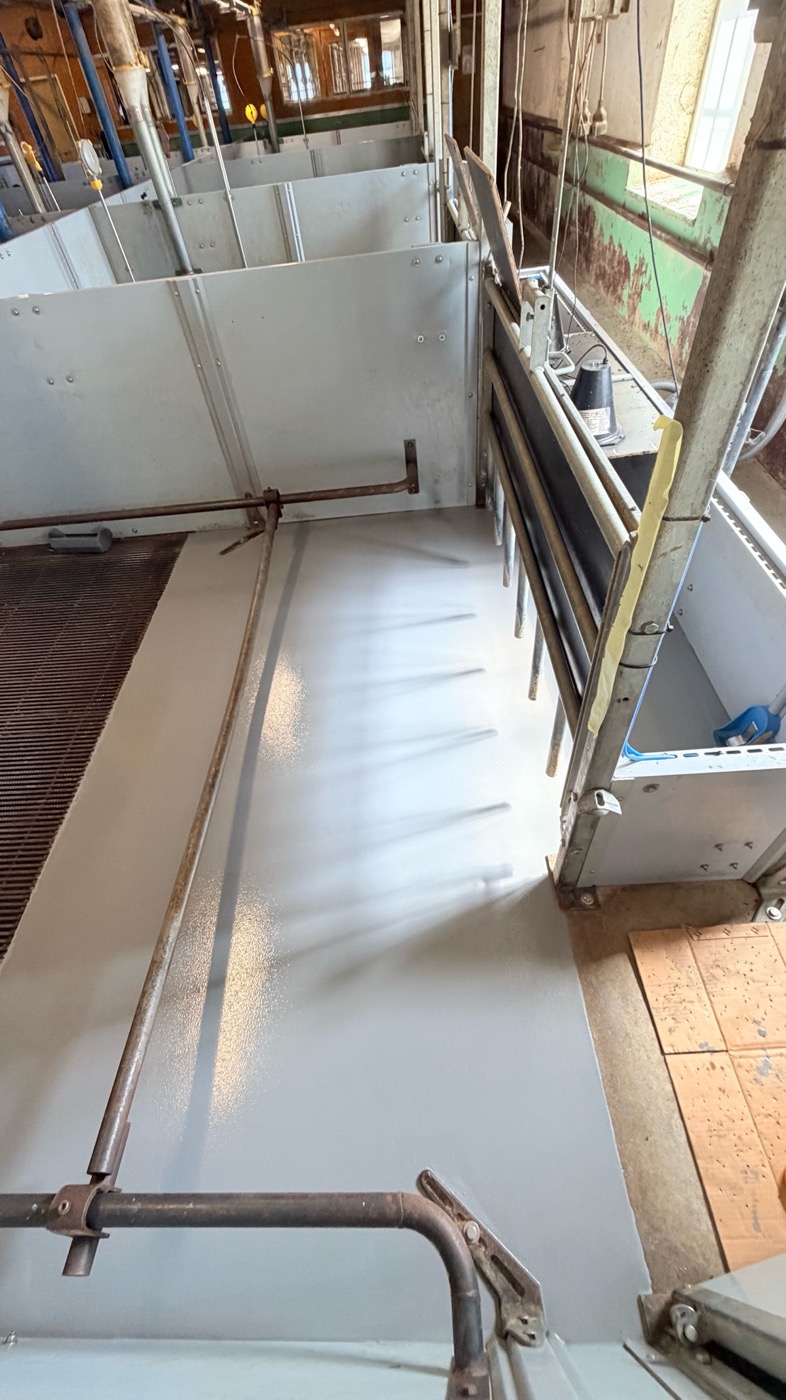 Sol UQESH® dans un enclos à porcs chez Nibble Gårdsgris