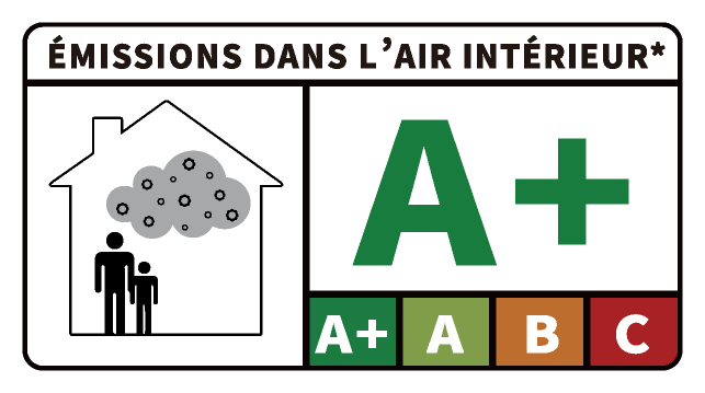 A+ Certification