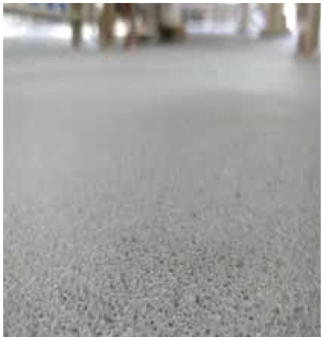 PF-Plus – sand broadcast, close-up